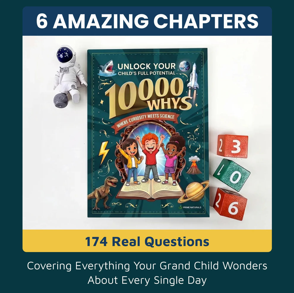 Kid’s Encyclopedia “10,000 Whys”