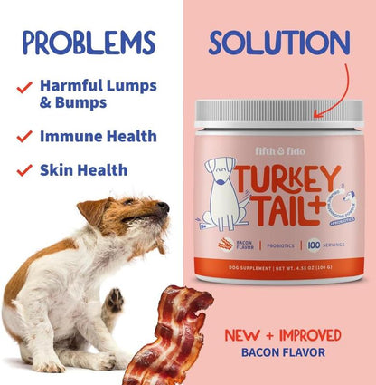 Turkey Tail Mushroom + Probiotic Formula