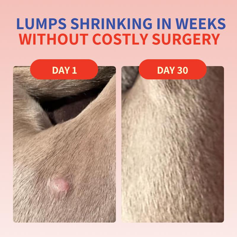 Turkey Tail Mushroom + Probiotic Formula