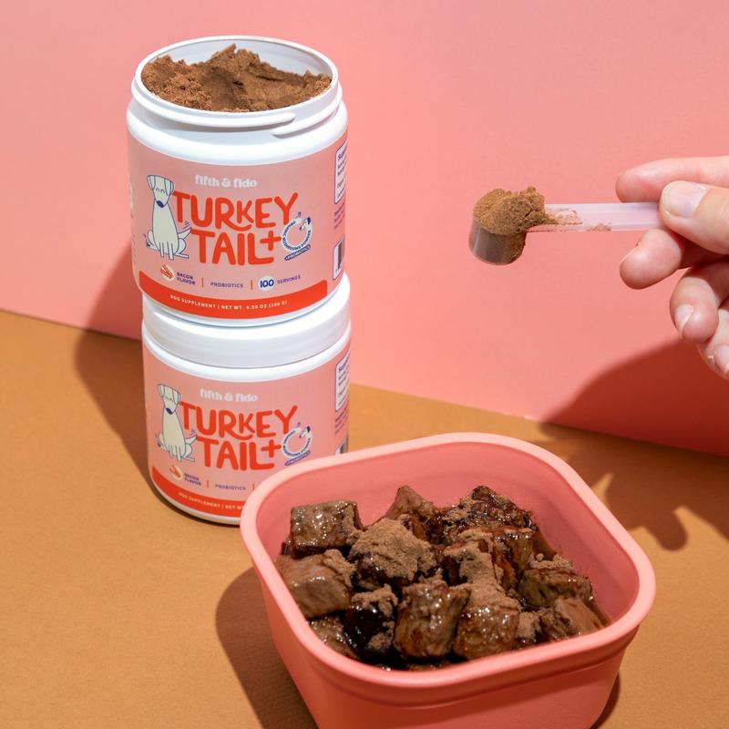 Turkey Tail Mushroom + Probiotic Formula