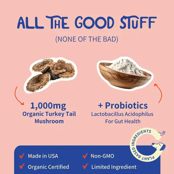 Turkey Tail Mushroom + Probiotic Formula