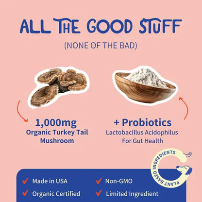Turkey Tail Mushroom + Probiotic Formula