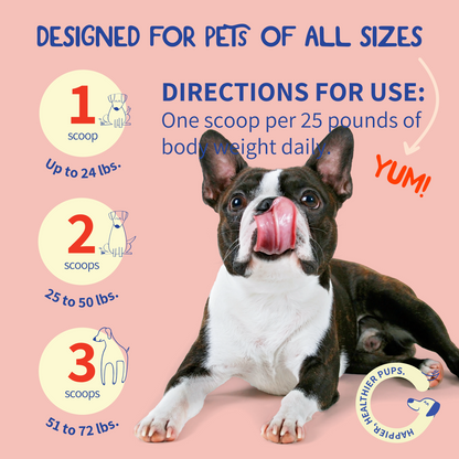 Turkey Tail Mushroom + Probiotic Formula